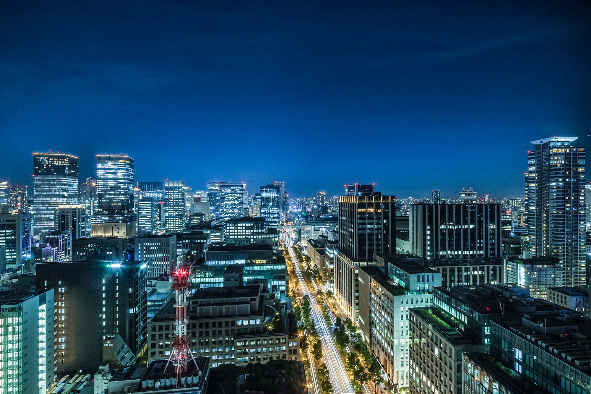 御堂筋を見渡す北側ビュー