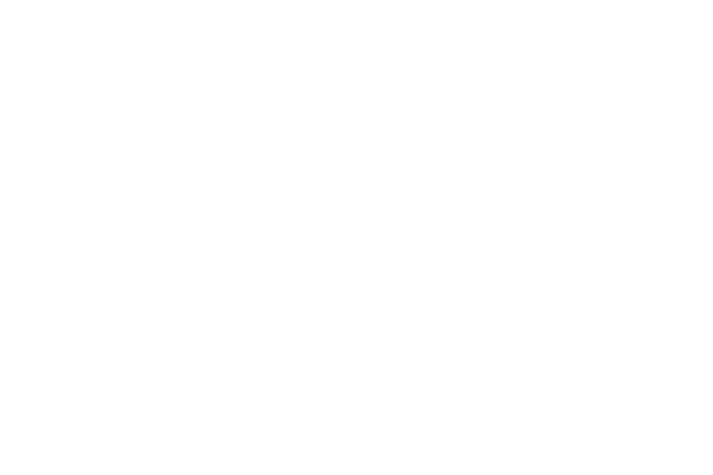 Precious ONO HAKATA