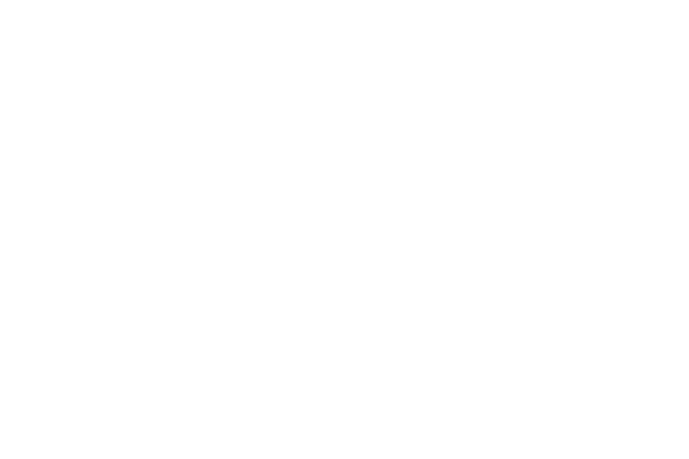 THE BAR
